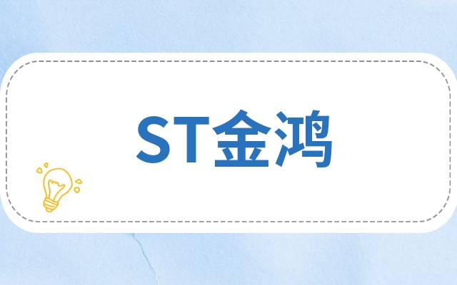 st金鸿