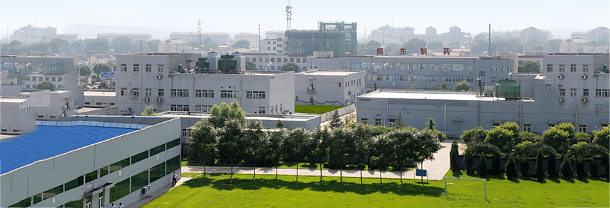 (二)振东制药个股分析